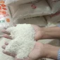 Harga Beras 1 Kg Mulai Mengalami Kenaikan